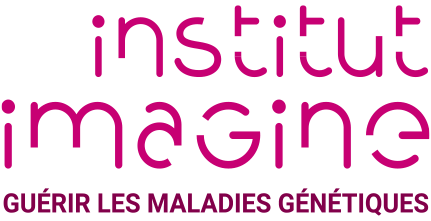 Logo Institut Imagine