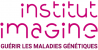 Logo Institut Imagine